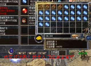 ����������������Ź���ȫ����