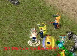 �����ȡVip��Աר������װ����