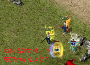 ��θ�Ч�����ֳ�����������ս����