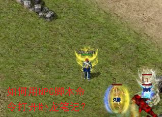 �����NPC�ű�����������ʼǣ�