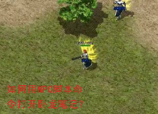 �����NPC�ű�����������ʼǣ�