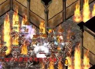 ��ο��������ȼ���װ����