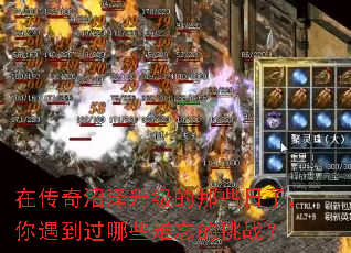 �ڴ���������������Щ���ӣ�����������Щ��������ս��