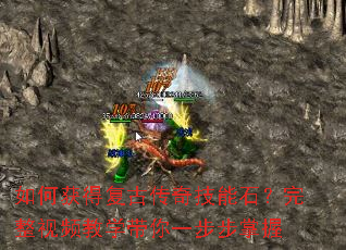 ��λ�ø��Ŵ��漼��ʯ��������Ƶ��ѧ����һ��������