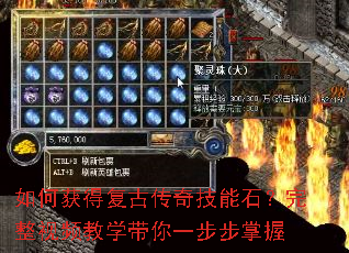 ��λ�ø��Ŵ��漼��ʯ��������Ƶ��ѧ����һ��������