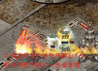 ��λ�ø��Ŵ��漼��ʯ��������Ƶ��ѧ����һ��������