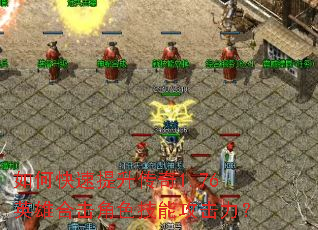 ��ο�����������1.76Ӣ�ۺϻ���ɫ���ܹ�������