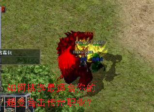 �����ѡ���ʺ���ĳ���ϻ�����ְҵ��