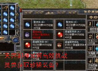 ���������θ�Ч��ս���޻�ȡ��ϡװ����