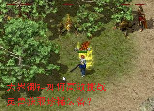 ���������θ�Ч��ս���޻�ȡ��ϡװ����