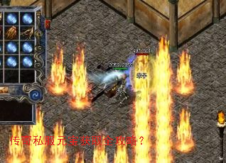 ����˽��Ԫ����ȡȫ���ԣ�