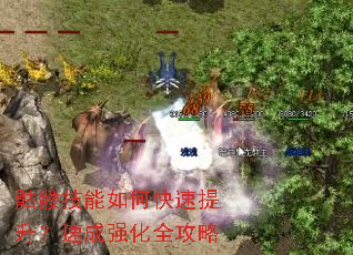 ���ü�����ο����������ٳ�ǿ��ȫ����