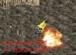 ���ü�����ο����������ٳ�ǿ��ȫ����