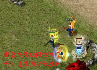 ���ü�����ο����������ٳ�ǿ��ȫ����