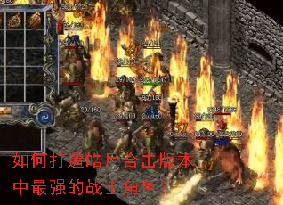 ��δ�����ºϻ��汾����ǿ��սʿ��ɫ��