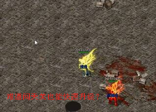 �ѵ������Ҳ�ܿ���������