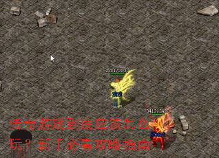 ������Ϸ����Ӧ����ô�棿���ֱؿ�����ָ��