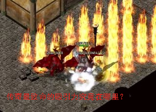 ���������������������������