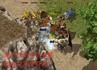 ���Ŵ���󶨼��ܲо��������ã�