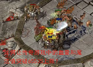 ����ô�����Ϸ�е�Ѫ����ħ��ֵͻ��65535���ޣ�