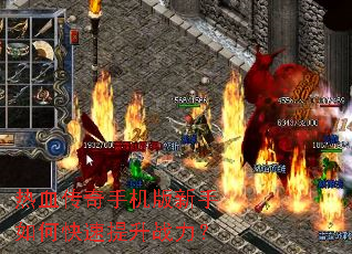 ��Ѫ�����ֻ���������ο�������ս����