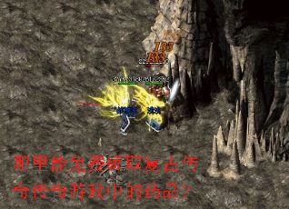 �����������ȡ���Ŵ��洫����Ϸ�е�ҩƷ��