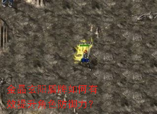 ���������������Ч������ɫ��������