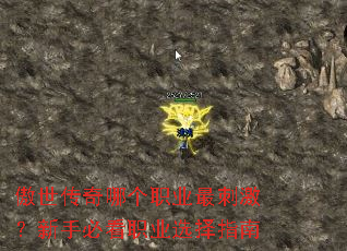 ���������ĸ�ְҵ��̼������ֱؿ�ְҵѡ��ָ��