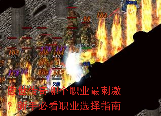 ���������ĸ�ְҵ��̼������ֱؿ�ְҵѡ��ָ��