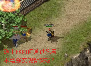 道士PK如何通过施毒术增强实现新突破? 道士PK如何通过施毒术增强实现新突破?