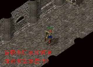 各职业玩家如何精准追求鉴定属性? 各职业玩家如何精准追求鉴定属性?