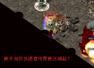 ������ο����ڴ�����������