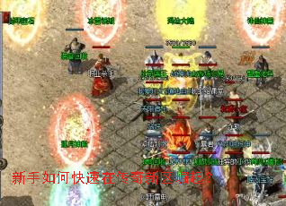 ������ο����ڴ�����������