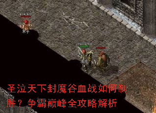 圣泣天下封魔谷血战如何制胜?争霸巅峰全攻略解析 圣泣天下封魔谷血战如何制胜?争霸巅峰全攻略解析