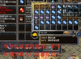 传奇私服至尊秘籍:新手如何快速入门问道探秘? 传奇私服至尊秘籍:新手如何快速入门问道探秘?