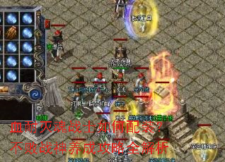 Ѫ�����սʿ�����װ������ս�����ɹ���ȫ����