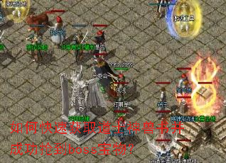 ��ο��ٻ�ȡ��ʿ�����鲢�ɹ�����boss���