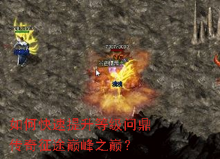 ��ο��������ȼ��ʶ�������;�۷�֮�ۣ�