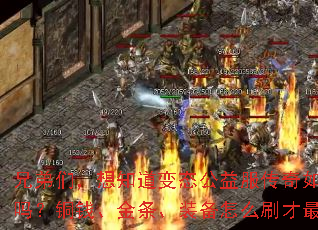 兄弟们,想知道变态公益服传奇如何打金吗?铜钱、金条、装备怎么刷才最快? 兄弟们,想知道变态公益服传奇如何打金吗?铜钱、金条、装备怎么刷才最快?