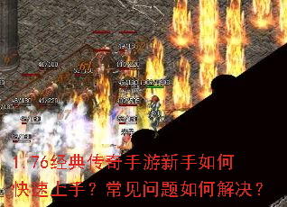 1.76���䴫������������ο������֣�����������ν����