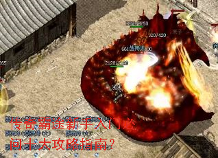 �����;�������ű���ʮ����ָ�ϣ�