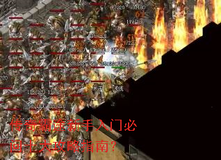 �����;�������ű���ʮ����ָ�ϣ�