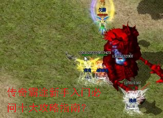 �����;�������ű���ʮ����ָ�ϣ�