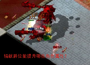 捐献爵位能提升哪些角色属性? 捐献爵位能提升哪些角色属性?