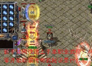 新手如何快速上手单职业武帝?从零开始称霸传奇的秘诀是什么? 新手如何快速上手单职业武帝?从零开始称霸传奇的秘诀是什么?