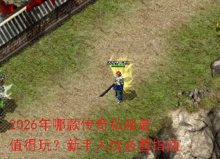 2026���Ŀ��˽����ֵ���棿������ӱؿ�ָ��