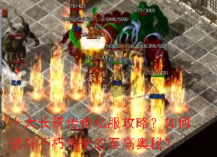 ʮ���ഫ��˽�����ԣ�����ƽⲻ�ഫ������߰��أ�