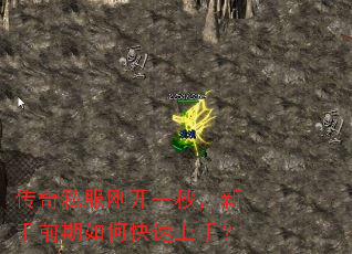 ����˽���տ�һ�룬����ǰ����ο������֣�