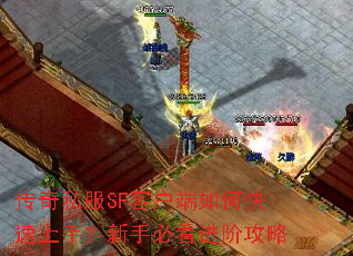 ����˽��SF�ͻ�����ο������֣����ֱؿ����׹���