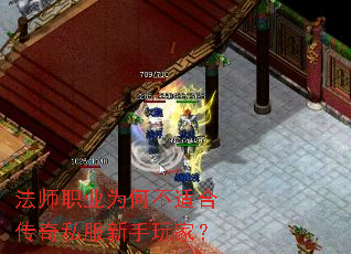 ��ʦְҵΪ�β��ʺϴ���˽��������ң�